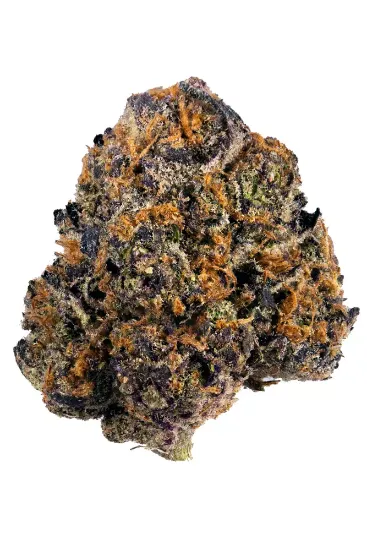 Picture of Purle GSC AAA 221g
