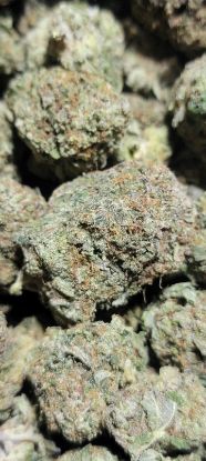 Picture of Pink Pablo 14g AAAA+ 4⭐