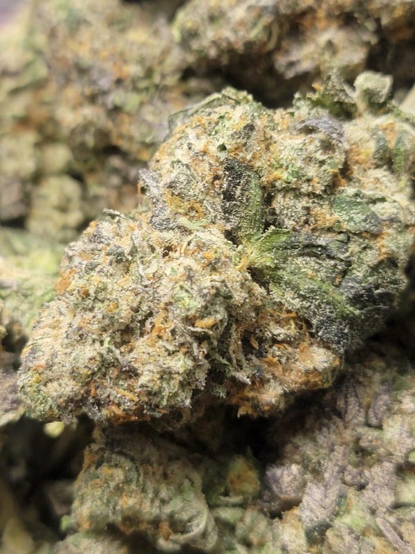 Frosted Gelato 14G AAAA