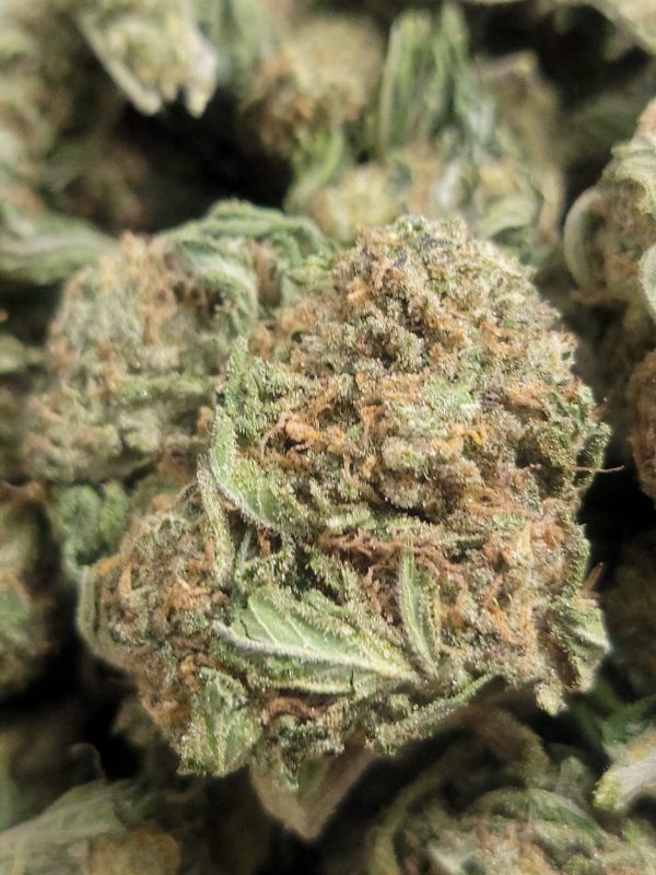 Love Potion 2.0 AAA+ 28G