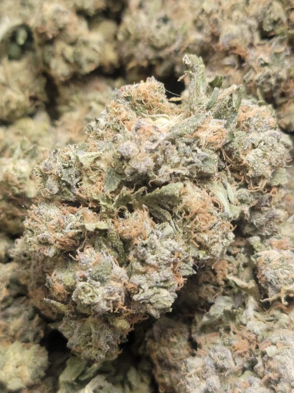 Rockstar OG  AAA++ HP