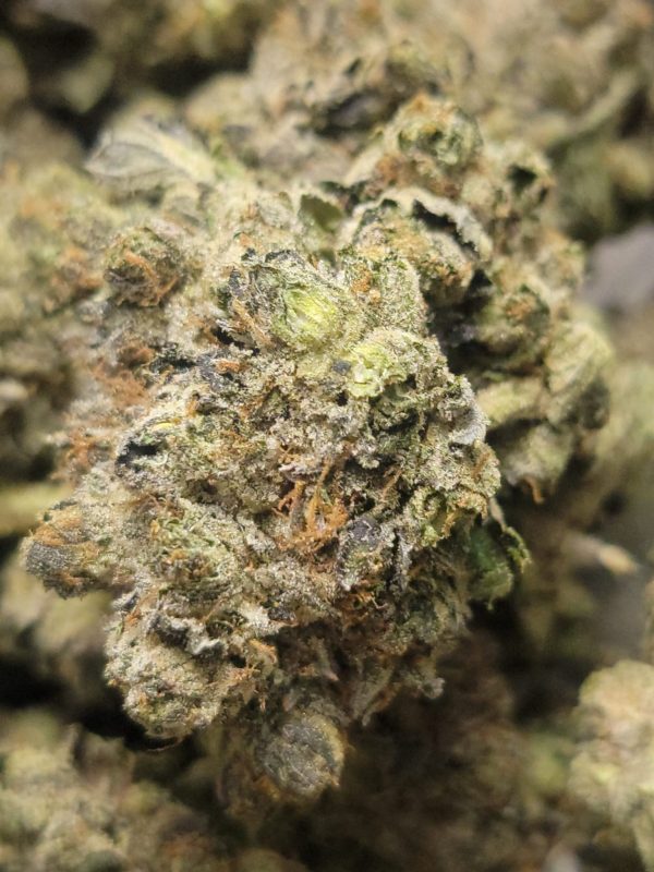 Platinum Animal Cookies 14G  AAAA