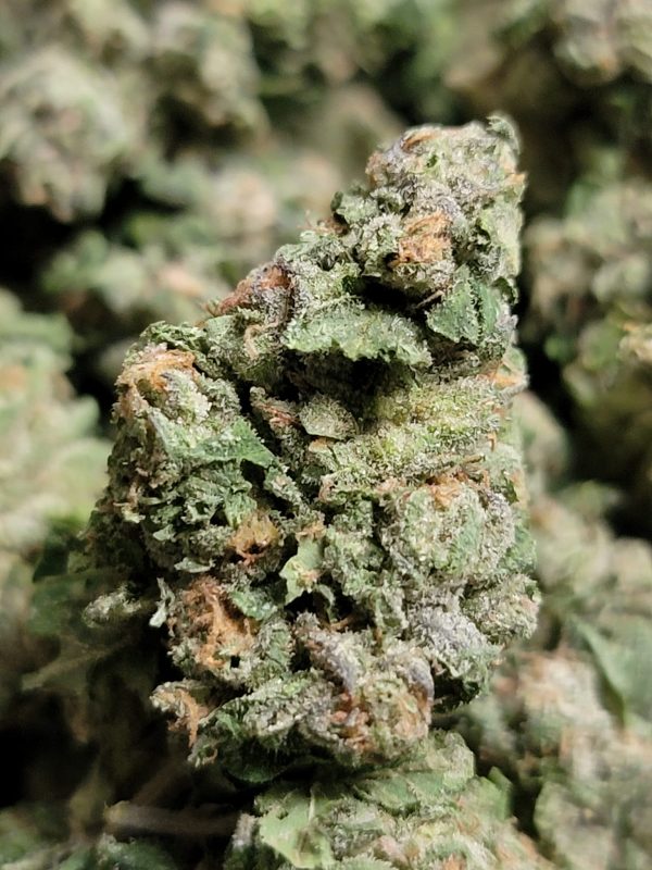 Zombie OG AAA 28G