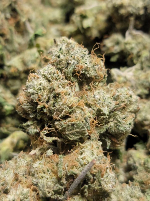 Cali Bubba AAA 28G