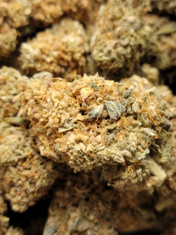 Orange Kush 28G AA   ----Back to school SPECIAL---- 2oz $100
