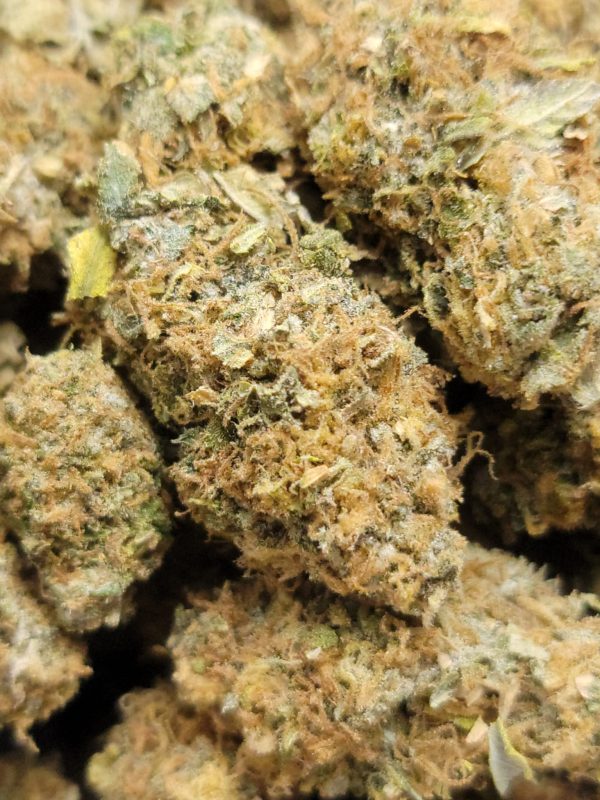 Pink Tuna AAA 28G