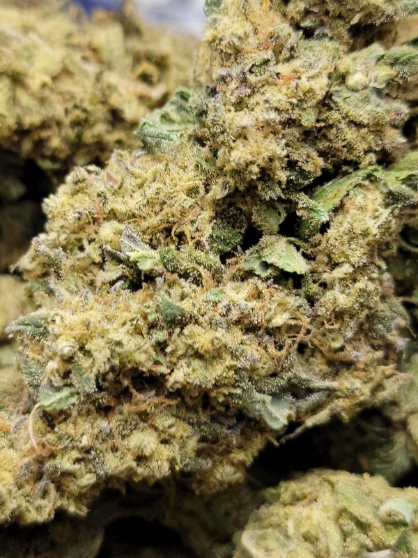 Kush Mint AAA+ 28G