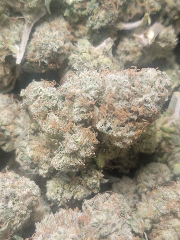Jack Hammer AAA 28G