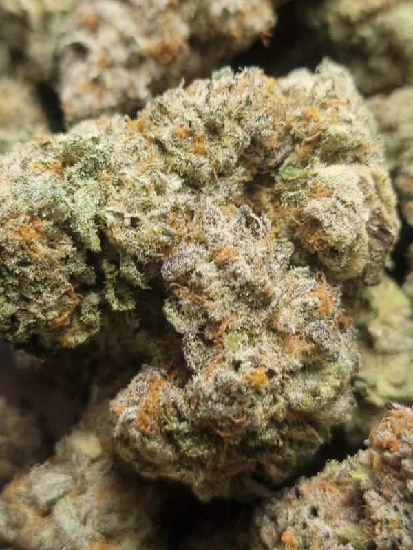 Black Gelato AAA+++ 28G