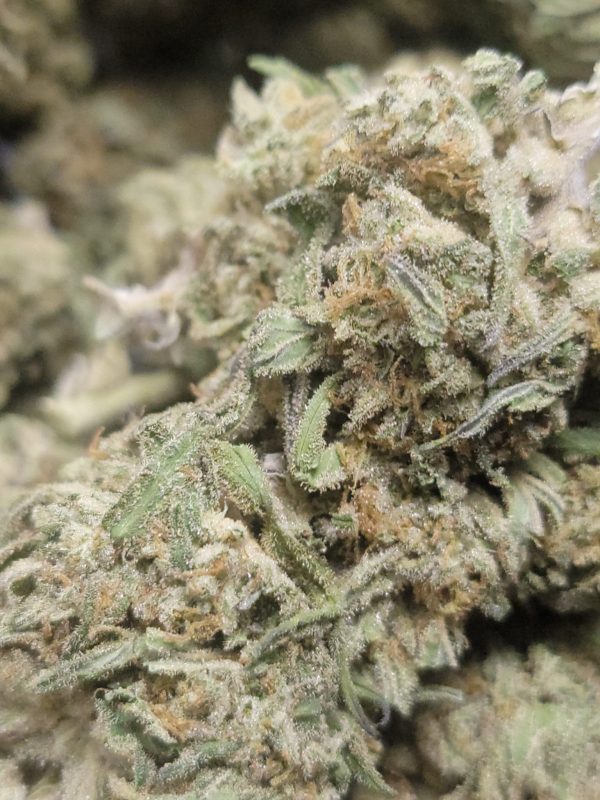 Blue Rhino AAA 28G