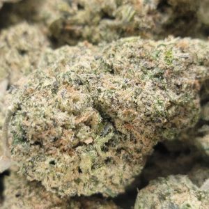 Alaskan Thunder AAA++ HP