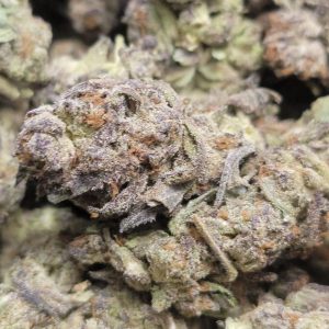 Glowberry Rush AAA+ HP