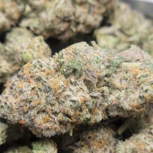 Ice Cream Cake AAA+++ HP