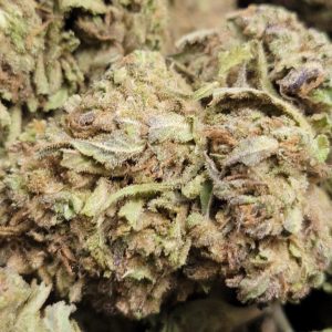 Sunset Gelato AAA 28G