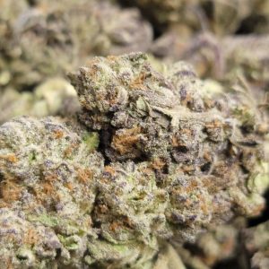 Ace of Spade AAA+ HP