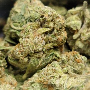 White Castle AAA 28G