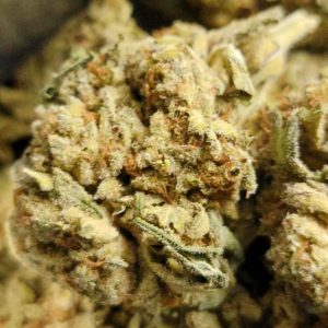 Dutch Berry AAA 28G