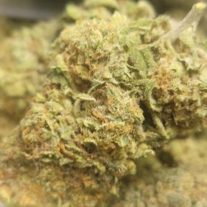 Gelato Cake AAA 28G