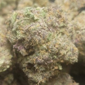 Purple Medusa AAAA++ 14G