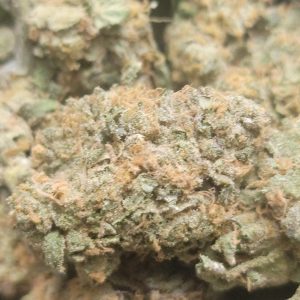 Alaskan Ice AAA++ 28G