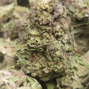 Lavender Jones AAA 28G