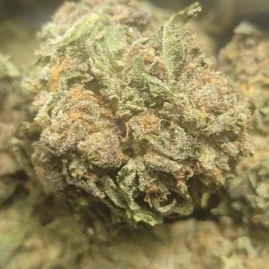 Master Kush AAA 28G
